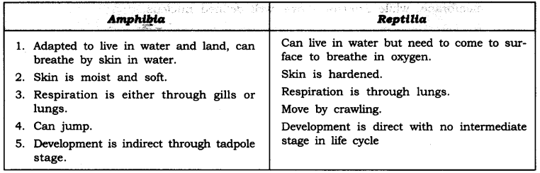 NCERT Solutions for Class 9 Science Chapter 7 Diversity in Living Organisms Intext Questions Page 94 Q3