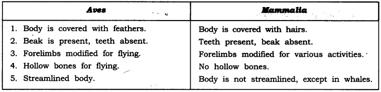 NCERT Solutions for Class 9 Science Chapter 7 Diversity in Living Organisms Intext Questions Page 94 Q4