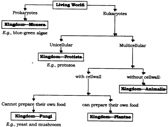 NCERT Solutions for Class 9 Science Chapter 7 Diversity in Living Organisms SAQ Q24