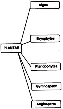 NCERT Solutions for Class 9 Science Chapter 7 Diversity in Living Organisms VSAQ Q9