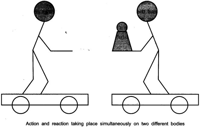 NCERT Solutions for Class 9 Science Chapter 9 Force and Laws of Motion Activity Based Q4