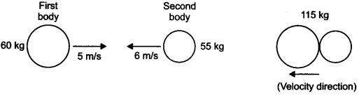 NCERT Solutions for Class 9 Science Chapter 9 Force and Laws of Motion SAQ Q18