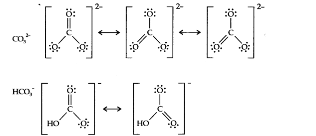 NCERT Solutions for Class 11 Chemistry Chapter 11 The p-Block Elements Q10