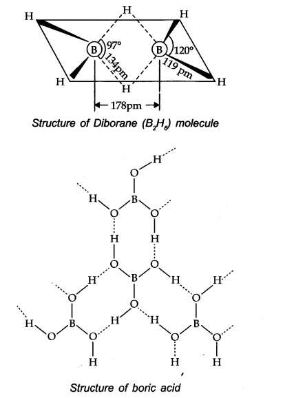 NCERT Solutions for Class 11 Chemistry Chapter 11 The p-Block Elements Q19