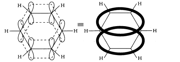 NCERT Solutions for Class 11 Chemistry Chapter 13 Hydrocarbons Q10