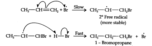 NCERT Solutions for Class 11 Chemistry Chapter 13 Hydrocarbons Q16.2