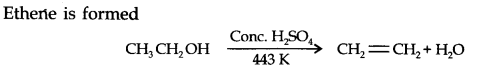 NCERT Solutions for Class 11 Chemistry Chapter 13 Hydrocarbons VSAQ Q5