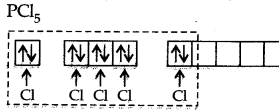 NCERT Solutions for Class 11 Chemistry Chapter 4 Chemical Bonding and Molecular Structure HOTS Q1.1