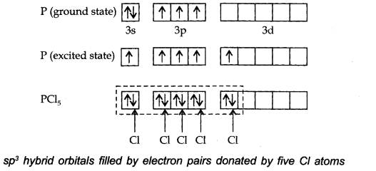 NCERT Solutions for Class 11 Chemistry Chapter 4 Chemical Bonding and Molecular Structure Q38