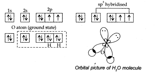 NCERT Solutions for Class 11 Chemistry Chapter 4 Chemical Bonding and Molecular Structure SAQ Q5