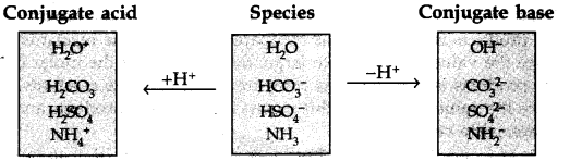 NCERT Solutions for Class 11 Chemistry Chapter 7 Equilibrium Q38