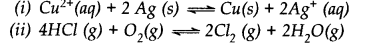 NCERT Solutions for Class 11 Chemistry Chapter 7 Equilibrium SAQ Q2