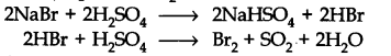 NCERT Solutions for Class 11 Chemistry Chapter 8 Redox Reactions Q12.2