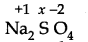 NCERT Solutions for Class 11 Chemistry Chapter 8 Redox Reactions VSAQ Q13.1