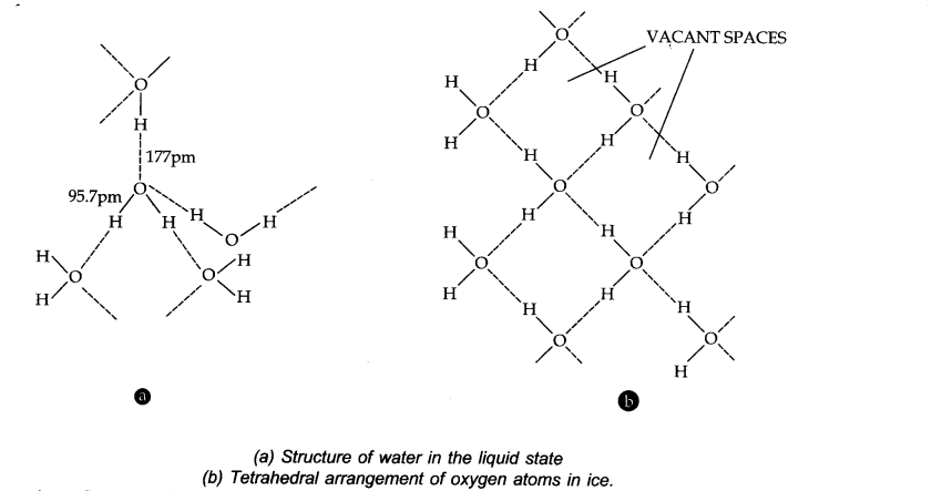 NCERT Solutions for Class 11 Chemistry Chapter 9 Hydrogen Q21