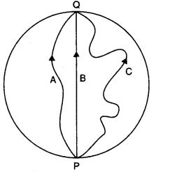 NCERT Solutions for Class 11 Physics Chapter 4 Motion in a Plane Q8