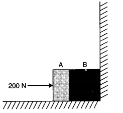 NCERT Solutions for Class 11 Physics Chapter 5 Laws of Motion Q34