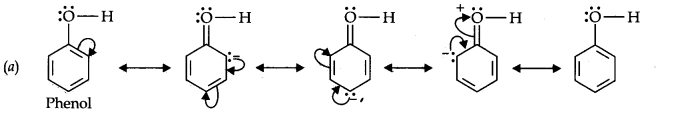 NCERT Solutions for Class 11th Chemistry Chapter 12 Organic Chemistry Some Basic Principles and Techniques Q11